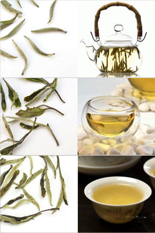 SPECIAL OFFER ! 5 FEATURED WHITE TEAS ASSORTMENT SAMPLES